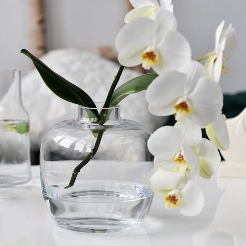 W czym eksponować wiosenne kwiaty? Nowa, limitowana kolekcja szklanych wazonów